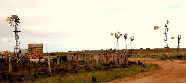 Penong windmills 1